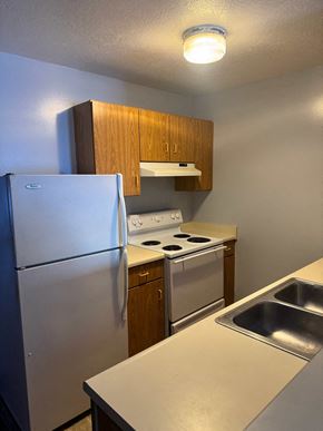 Lisbon apartment for rent - A small kitchen with a refrigerator, stove, and sink.