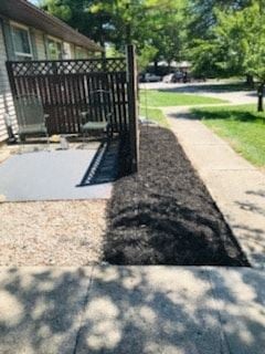 South Charleston apartment for rent - A black dog is standing on a sidewalk.