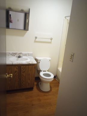 Summersville apartment for rent - A white toilet sits in a small bathroom next to a sink.