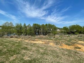 Wilson apartment for rent - A field with patches of yellow and green grass under a blue sky with clouds.