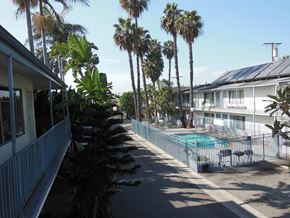 Westminster apartment for rent - A pool surrounded by a fence and palm trees.