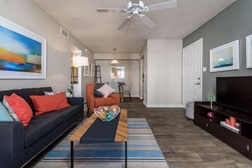 Phoenix apartment for rent - A living room with a grey couch and a striped rug.