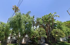 Cudahy apartment for rent - A row of palm trees in front of a house.
