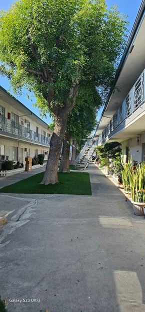 Cudahy apartment for rent - A tree in a courtyard with a building in the background.