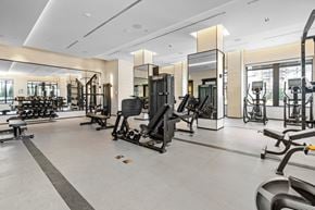 Toronto apartment for rent - A spacious gym with a variety of equipment.