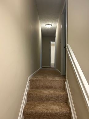 Elsmere house for rent - A long hallway with a carpeted staircase.