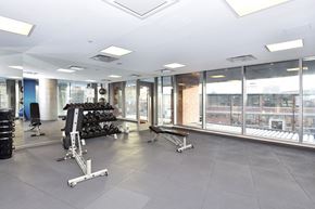 Toronto apartment for rent - A gym with a variety of equipment including weights and cardio machines.