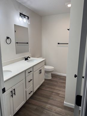 Mccomb apartment for rent - A bathroom with a white counter top and a white toilet.