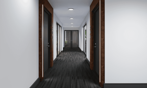 Bayonne apartment for rent - A long hallway with doors on both sides and a carpeted floor.