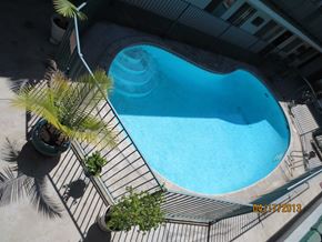 North Hollywood apartment for rent - A swimming pool surrounded by palm trees and plants.