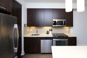Toronto apartment for rent - A modern kitchen with dark brown cabinets and stainless steel appliances.
