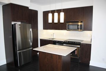 Toronto apartment for rent - A modern kitchen with dark wood cabinets and stainless steel appliances.