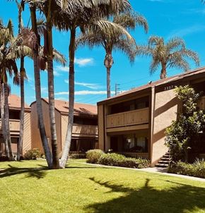 Fullerton apartment for rent - Palm trees in front of a building with a clear blue sky.