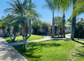 Tustin apartment for rent - A sunny day at a residential area with palm trees and a clear blue sky.