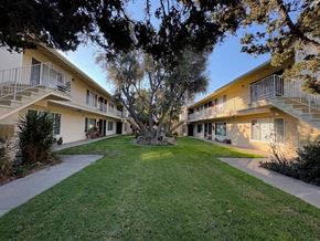 Orange apartment for rent - A tree in the middle of a grassy courtyard with apartment buildings in the background.