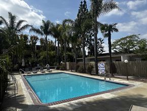 Anaheim apartment for rent - A swimming pool surrounded by palm trees and a fence.