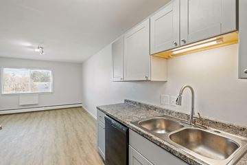 Longmont apartment for rent - A kitchen with a dishwasher and a sink.