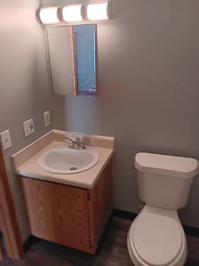 Salineville apartment for rent - A white toilet sits next to a sink in a bathroom.