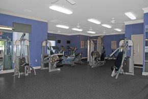 Columbia apartment for rent - gym with equipment at Palmera, Columbia, South Carolina
