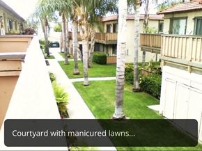Buena Park apartment for rent - A courtyard with manicured lawns and palm trees.