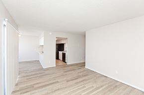 Craig apartment for rent - A room with wooden flooring and white walls.