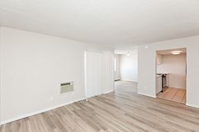 Craig apartment for rent - A room with a white ceiling and wooden flooring.