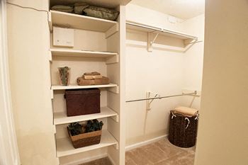 Park trace apartmetns walk-in closet
