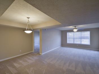 Glen park apartments carpeting