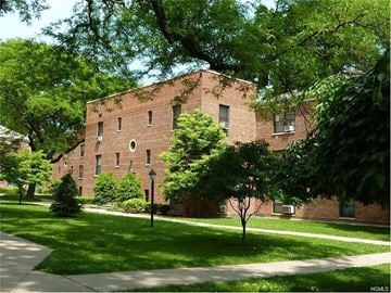 Mamaroneck apartment for rent - A tree in front of a red brick building.