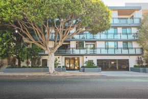 Santa Monica apartment for rent - A tree in front of a modern building.