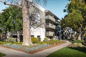 Pasadena apartment for rent - A building with a large tree in front of it.
