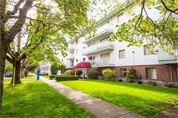 Victoria apartment for rent - A tree-lined street with apartment buildings on either side.