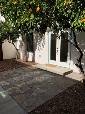 Sonoma apartment for rent - A tree with oranges growing on it is in front of a white building.