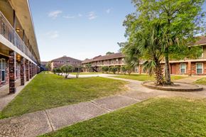 Baton Rouge apartment for rent - A tree in a grassy area in front of apartment buildings.