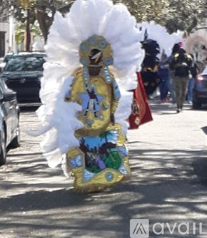 Marrero house for rent - A person in a colorful costume is standing on a street.