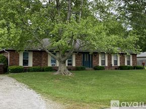 Williamsburg apartment for rent - A house with a tree in front of it.