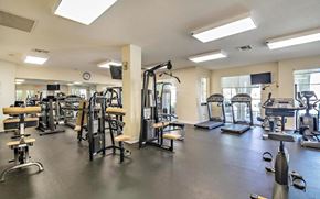 Palm Beach Gardens condo for rent - A spacious gym with a variety of equipment including treadmills, weights, and exercise machines.