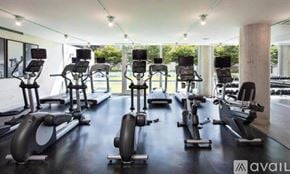 Chicago apartment for rent - A gym with a row of stationary bikes and elliptical machines.