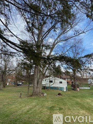 Finleyville house for rent - A tree in a grassy field with a house in the background.