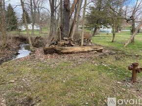 Finleyville house for rent - A small stream flows through a grassy area with a tree stump and a fire hydrant.