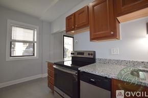 Chicago apartment for rent - A kitchen with a granite countertop and wooden cabinets.