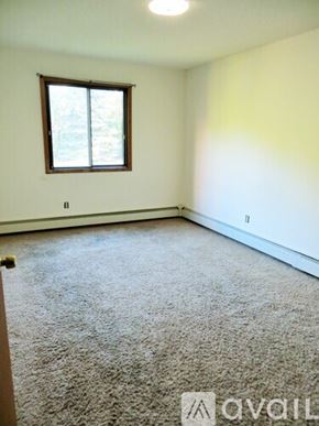 Minneapolis apartment for rent - A room with a carpeted floor and a window.