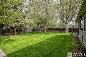 Lakewood townhouse for rent - A backyard with a fence and trees.