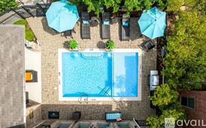 Richardson apartment for rent - An aerial view of a pool surrounded by lounge chairs and umbrellas.