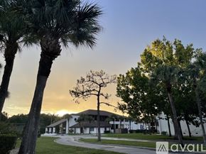 Orlando apartment for rent - A palm tree stands in front of a building with the word "AVAIL" on it.