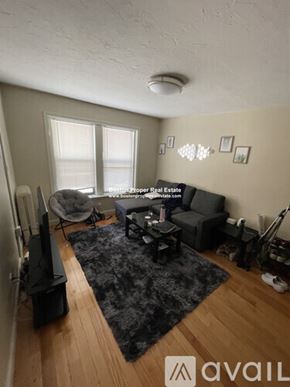 Boston apartment for rent - A living room with a black rug and a television.