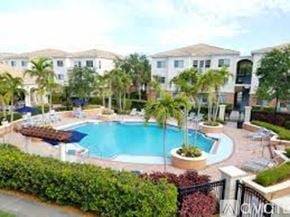 West Palm Beach condo for rent - A swimming pool surrounded by a green hedge and palm trees.