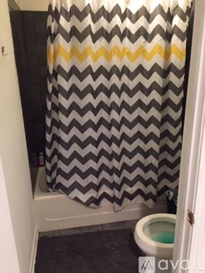 Chicago house for rent - A bathroom with a shower curtain and a toilet.