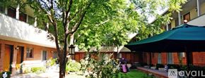 Dallas apartment for rent - A tree in a courtyard surrounded by buildings.