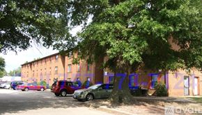 Norfolk apartment for rent - A tree with the number 78 painted on it.